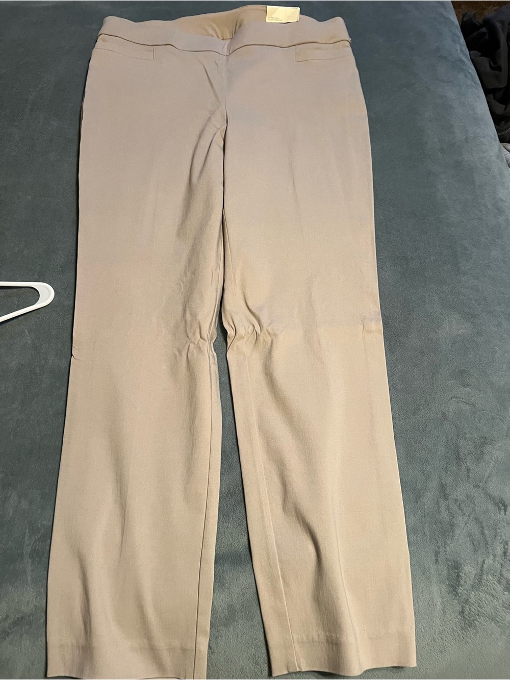 Studio Works Women's Straight-Leg Stretch Pants in Taupe